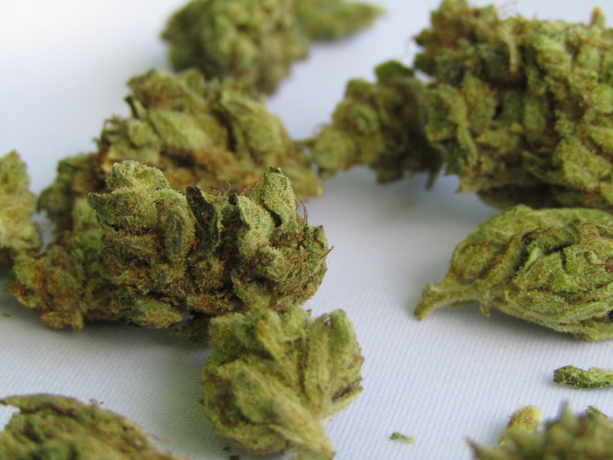 Dense green cannabis buds representing the AK-47 strain profile — a sativa-dominant hybrid prized for its uplifting and analgesic medicinal properties