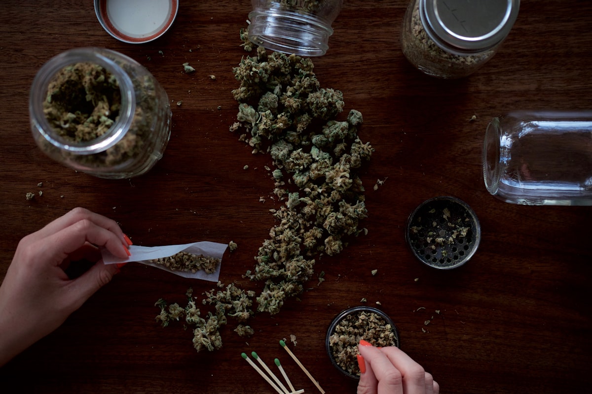 Person examining cannabis flower representing medicinal cannabis prescription quantities available to Australian patients — from a few grams to a full ounce or more per month