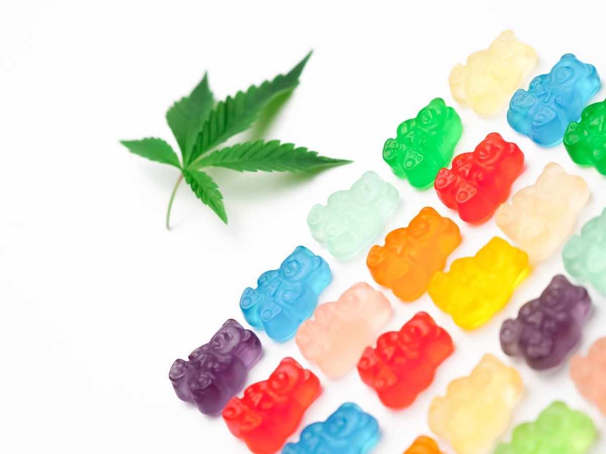 Assorted food ingredients and herbs laid out flat representing cannabis-infused cooking and edible products