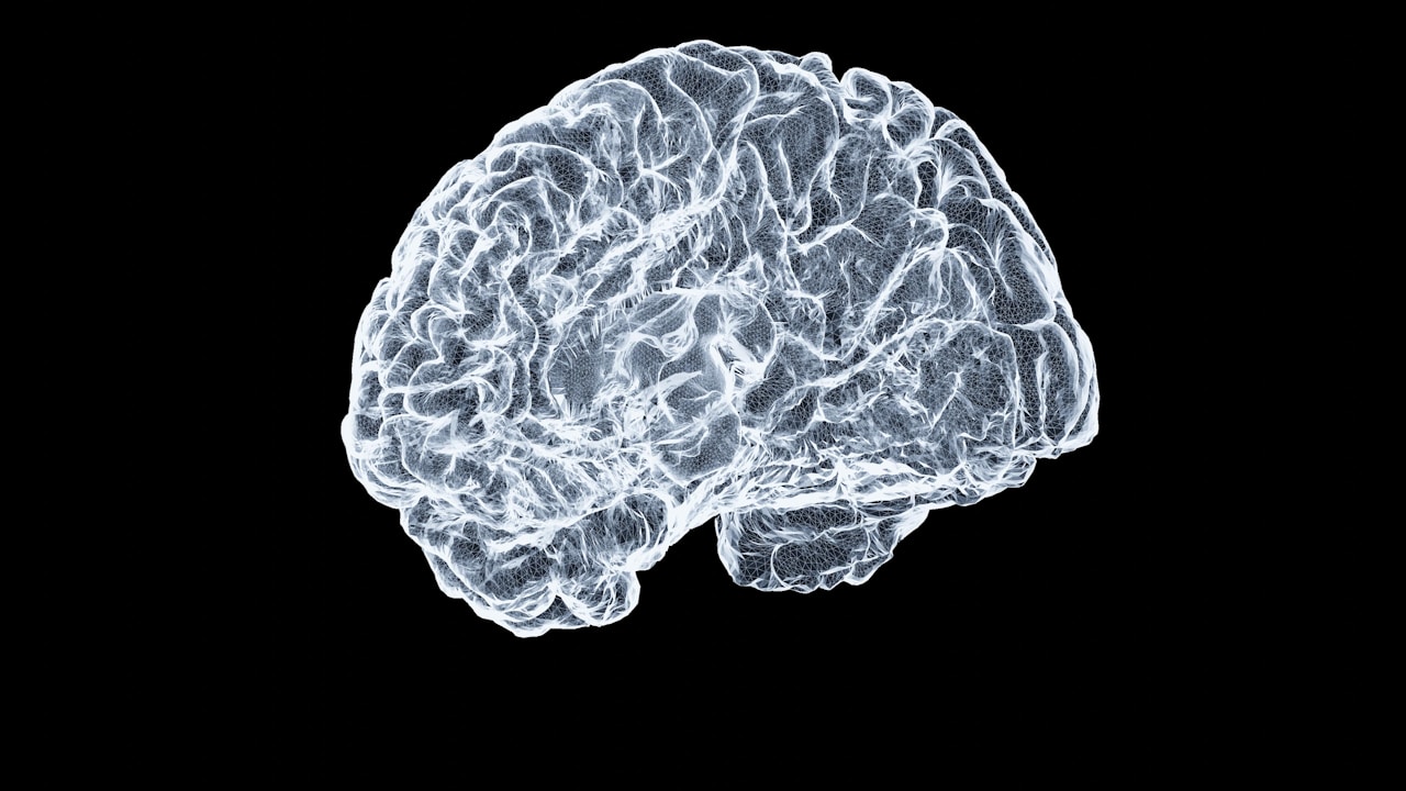Close-up human brain illustration representing medicinal cannabis for epilepsy and seizure treatment in Australia