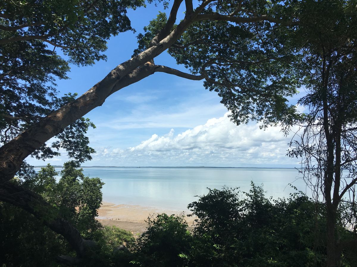 Darwin waterfront and tropical landscape representing cannabis laws in the Northern Territory Australia