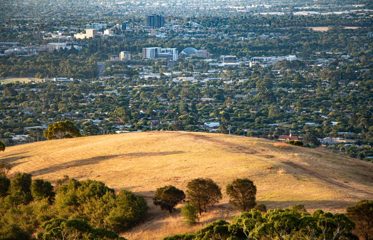 Adelaide city skyline and parklands representing cannabis laws in South Australia