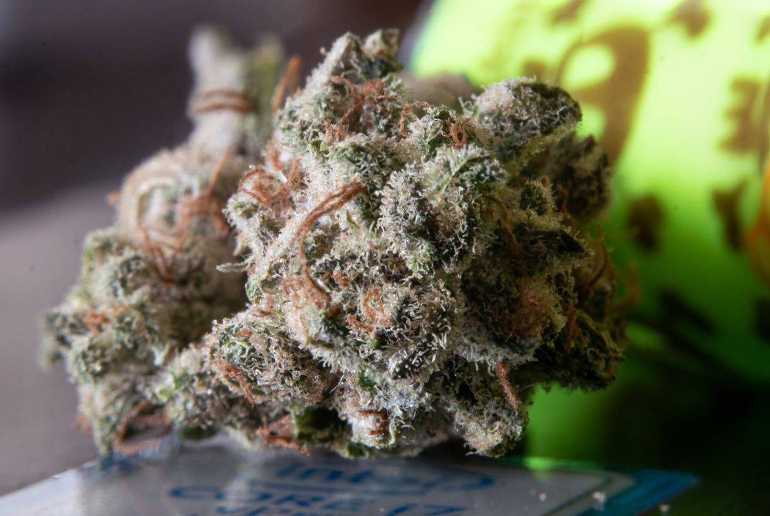 Close-up of premium cannabis flower buds with visible trichomes representing cannabis strain variety in Australia