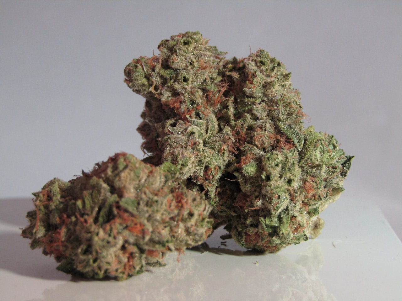 Macro photograph of sticky resin-coated cannabis trichomes on dense kush buds representing the OG Kush strain