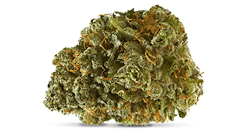 Flower — shop flower at The Cannabis Shop