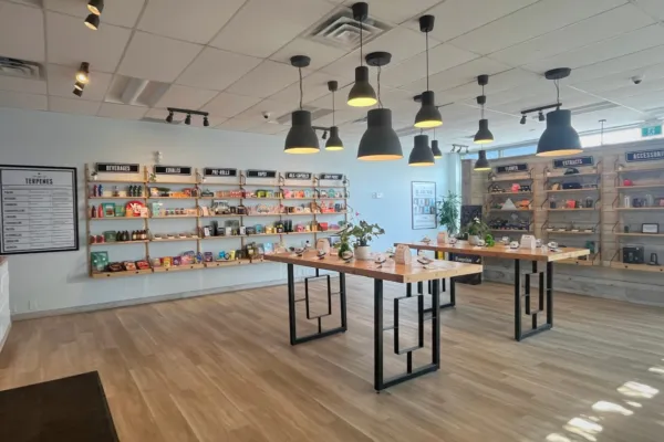 Product display at The Cannabis Shop