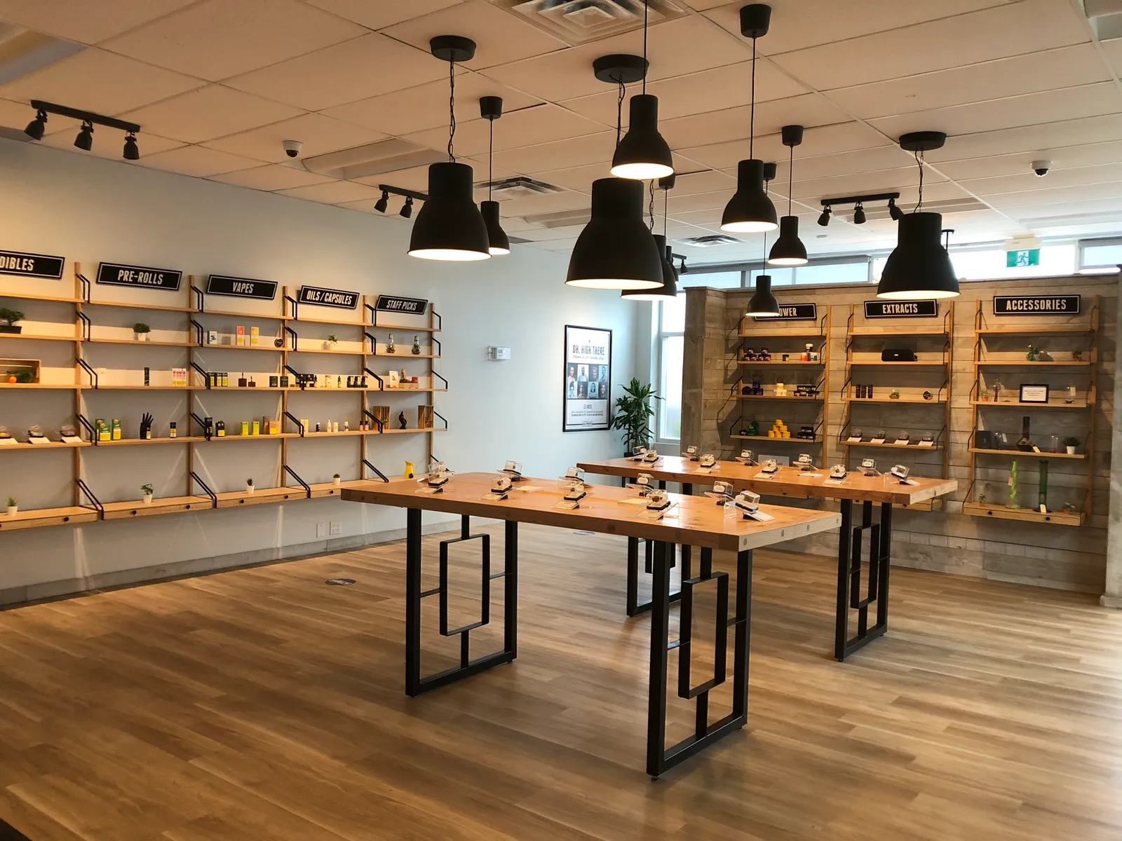 Inside The Cannabis Shop