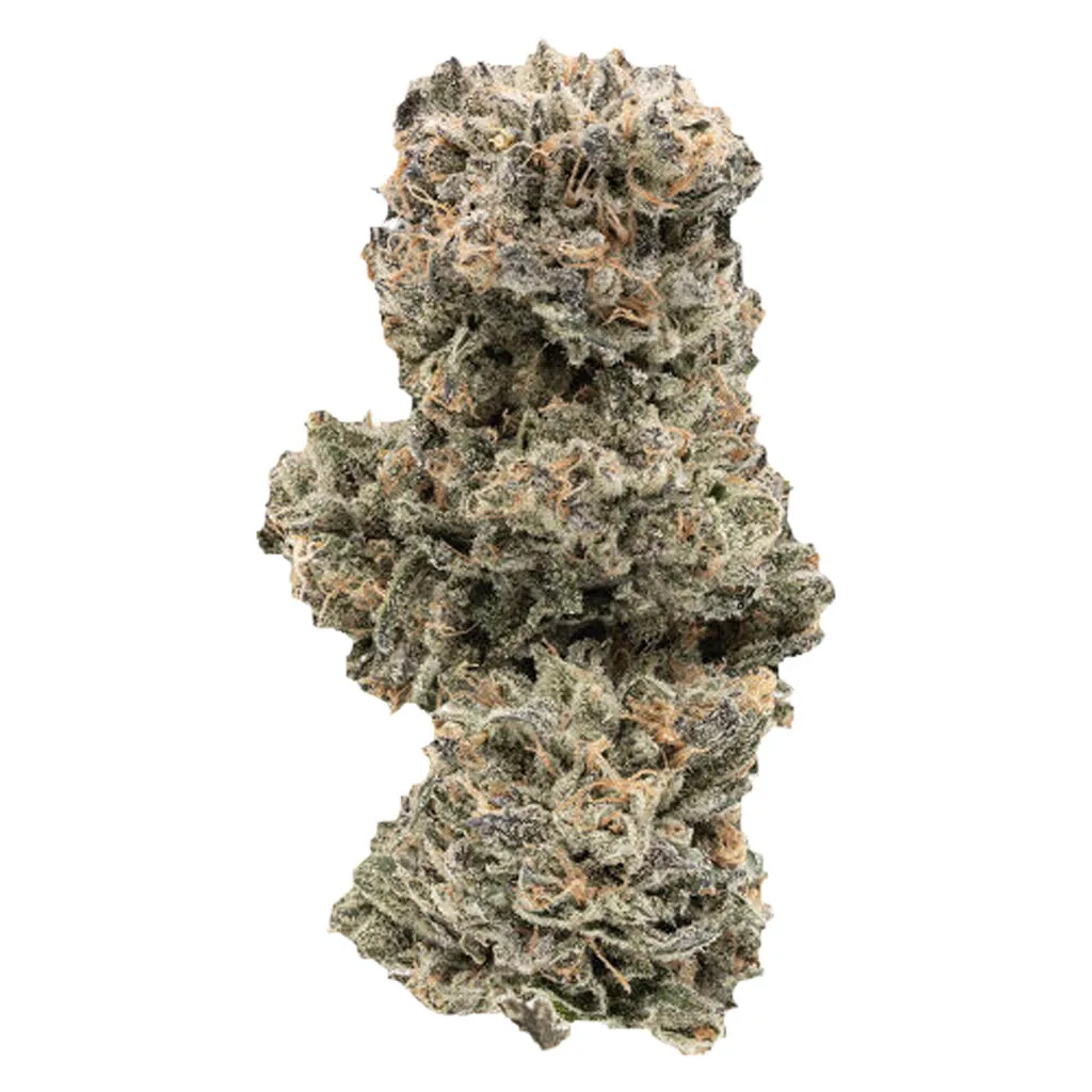 1964 Kush Mints - Indica - 7g — Flower
