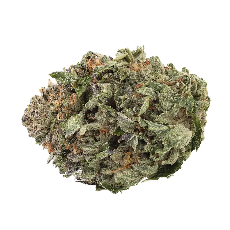 1964 Organic Comatose Indica - 3.5g — Flower