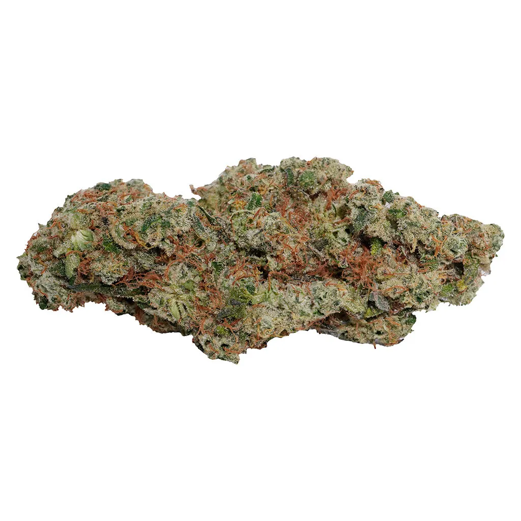 Always Toasted OG Dutch Dragon - Sativa - 7g — Flower