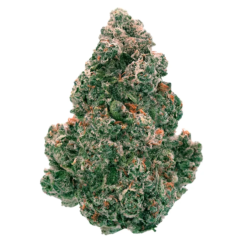 Back Forty Liquid Imagination - Hybrid - 14g — Flower