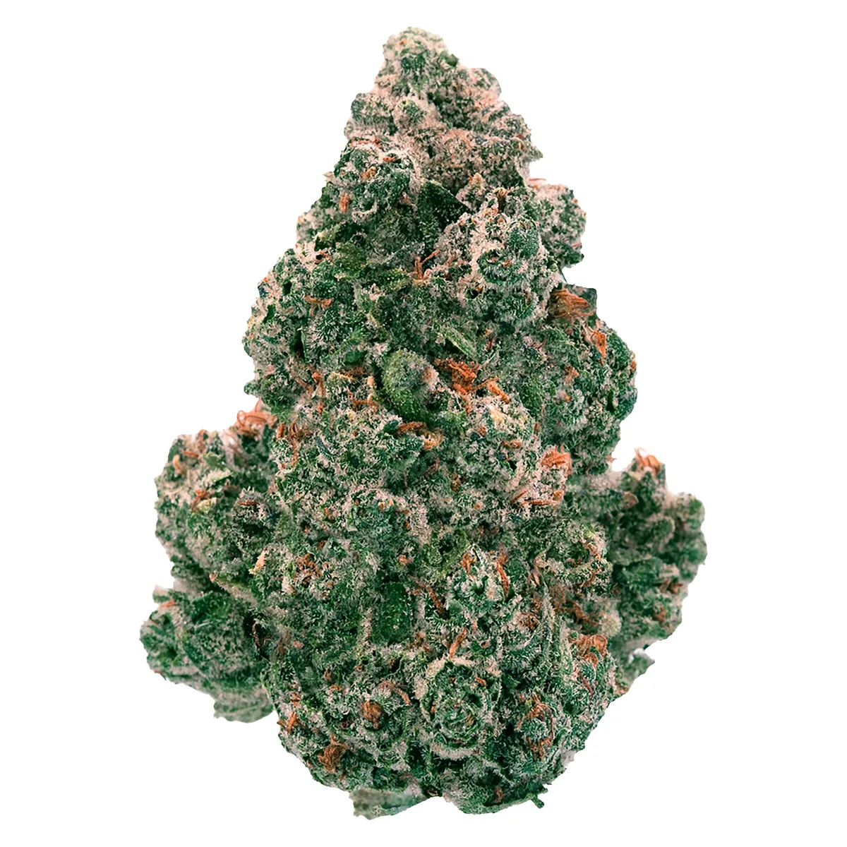 Back Forty Liquid Imagination - Hybrid - 14g — Flower