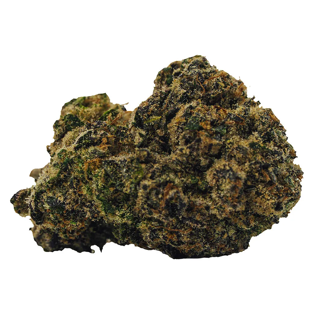 Bold Team BOLD - Rocket Fuel - Hybrid - 3.5g — Flower
