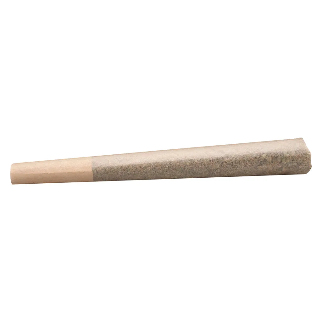 Buddy Blooms Biggest Buddy Indica Pre-Roll - 1x2g — Pre-Rolls
