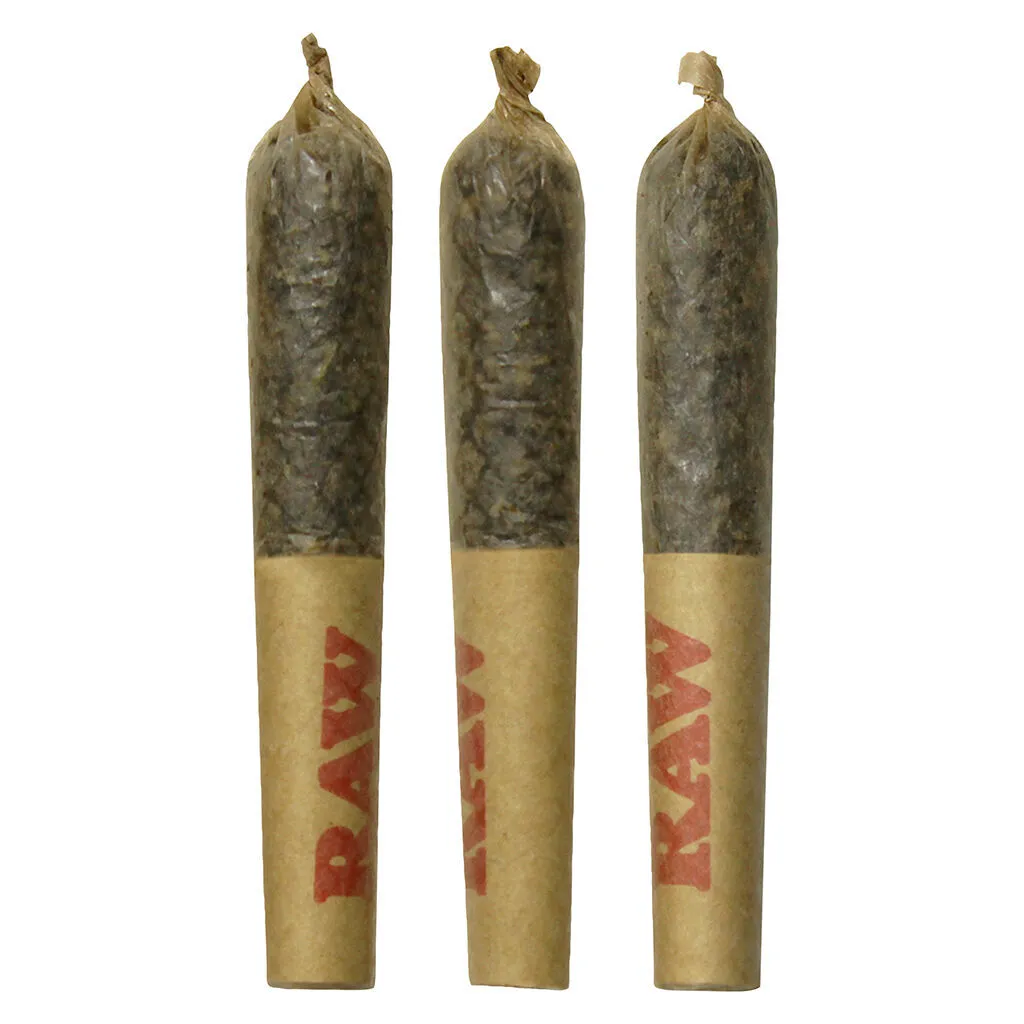 Dab Bods Sweet Island Coconut Disti Infused Joints - Hybrid - 3x0.5g — Pre-Rolls