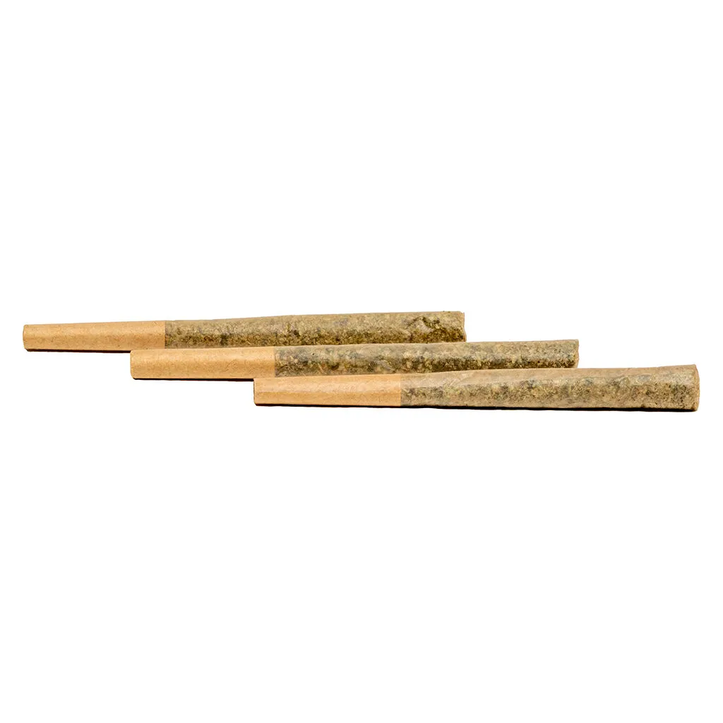 Divvy Black Widow Pre-Roll - Hybrid - 3x0.5g — Pre-Rolls