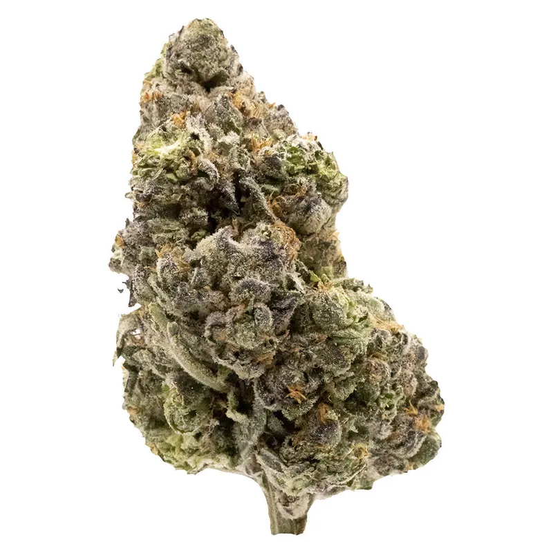 FIGR Midnight Sherb - Dried Flower - Sativa - 3.5g — Flower