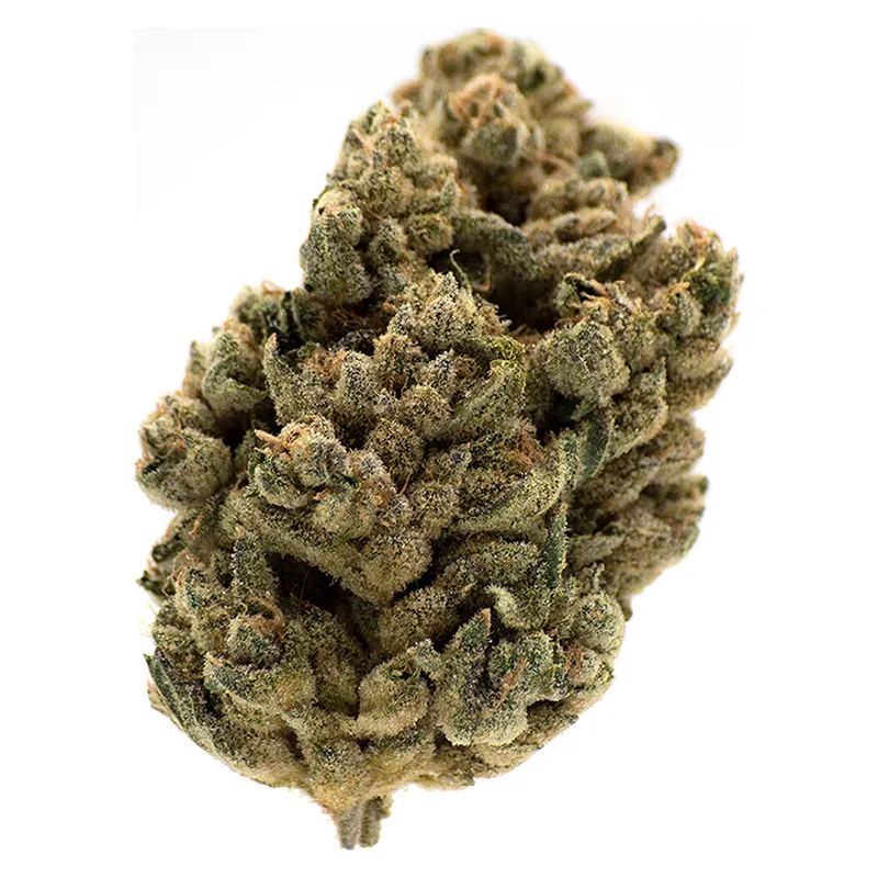 MTL Cannabis Jungl' Cake - Sativa - 14g — Flower