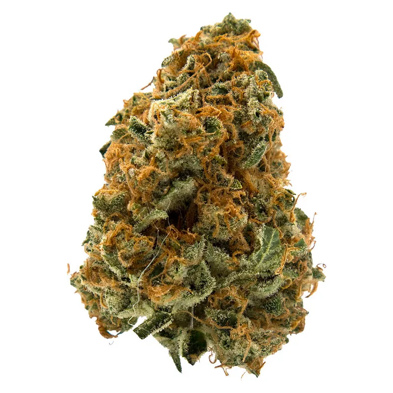 MTL Cannabis Sage n' Sour - Sativa - 3.5g — Flower