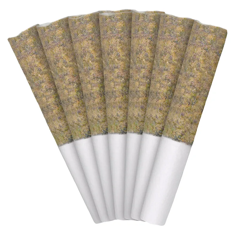 Nugz Florida Oranges Pre-Roll - Hybrid - 7x0.5g — Pre-Rolls