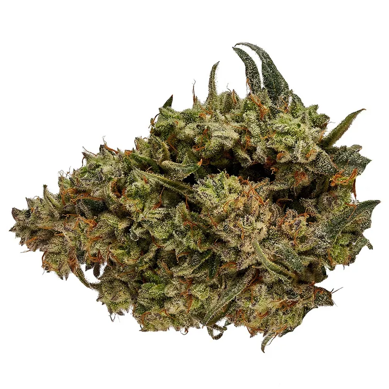 Orchid CBD CBD Runtz Hybrid - 3.5g — Flower