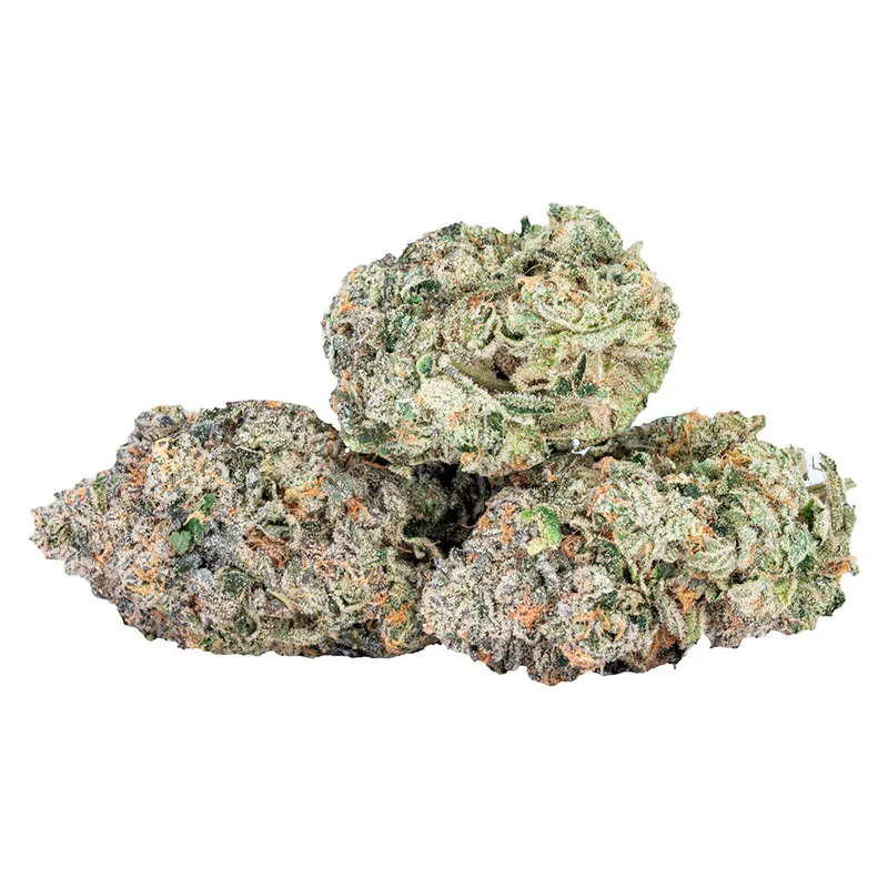 Sixty Seven Sins EXPO67 - Indica - 3.5g — Flower