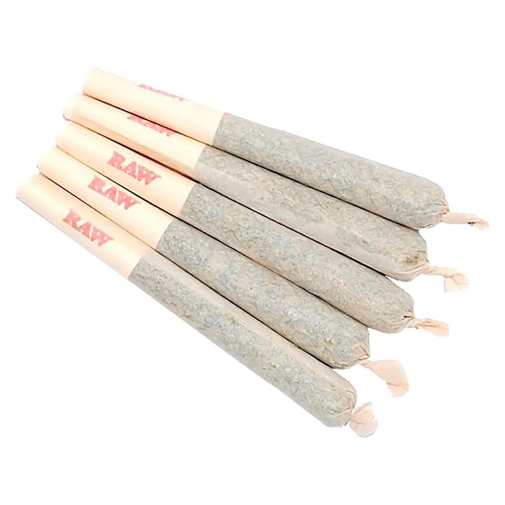 Sixty Seven Sins Gary Satan Pre-Roll - Hybrid - 7x0.5g — Pre-Rolls