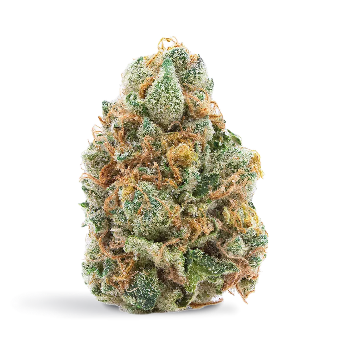 Spinach GMO Cookies — Flower