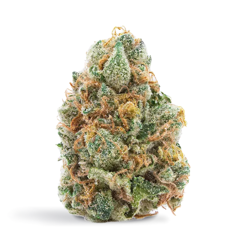 Spinach GMO Cookies — Flower