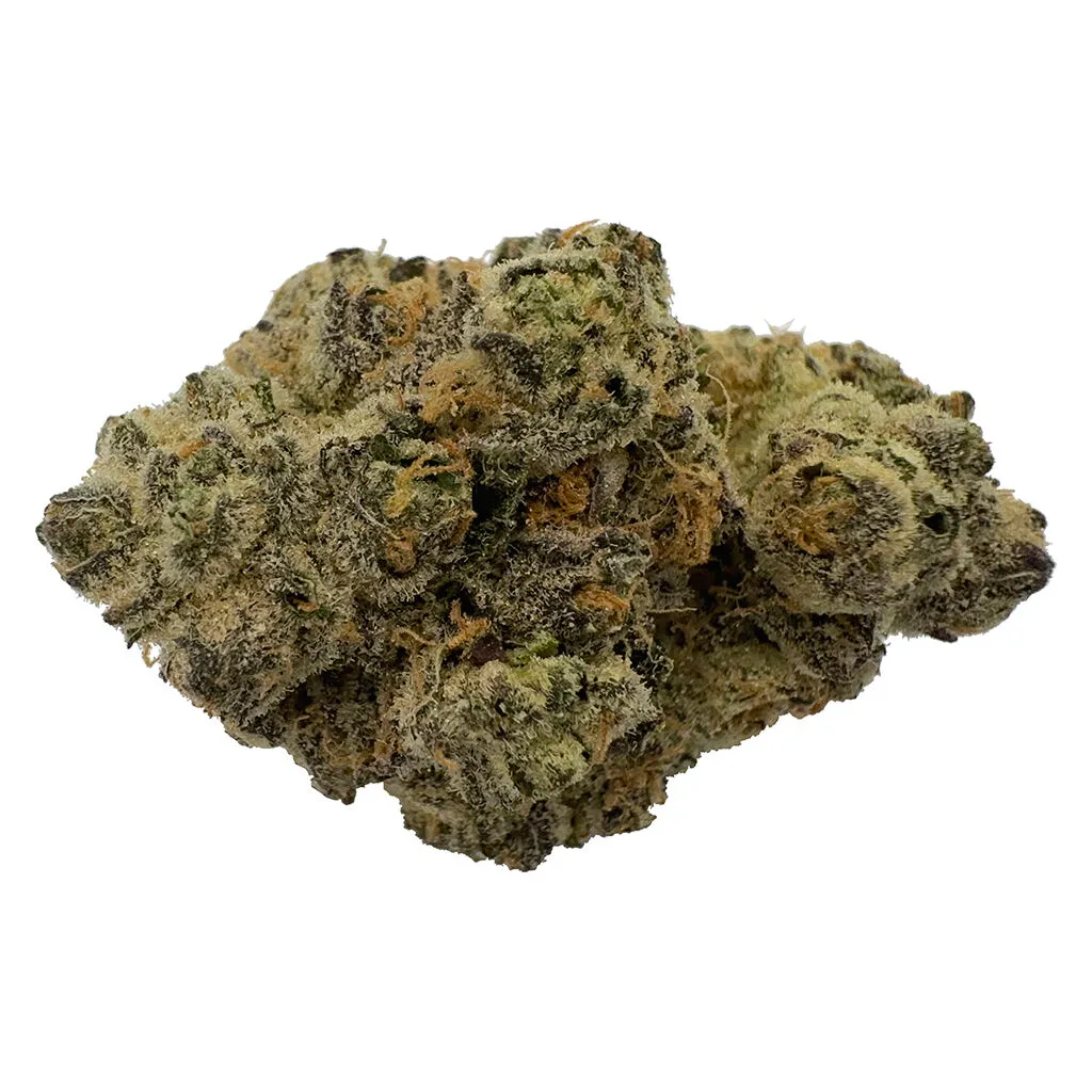 The Florist Rare Cuts - Hybrid - 7g — Flower