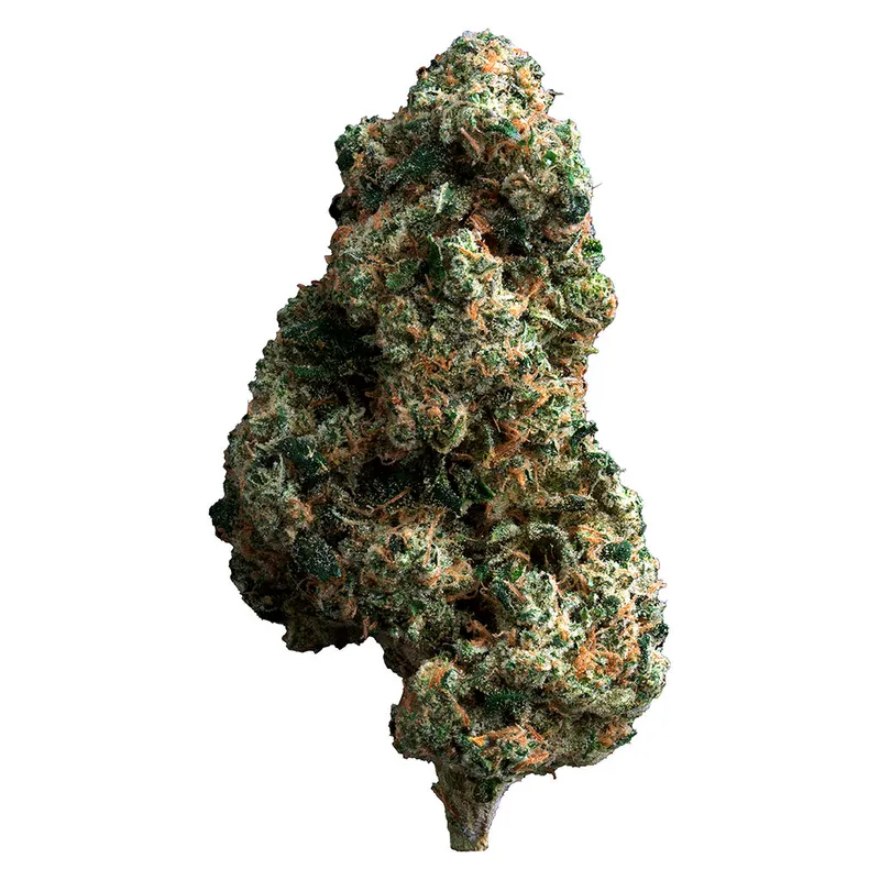 The Loud Plug Cherry Diesel - Hybrid - 7g — Flower