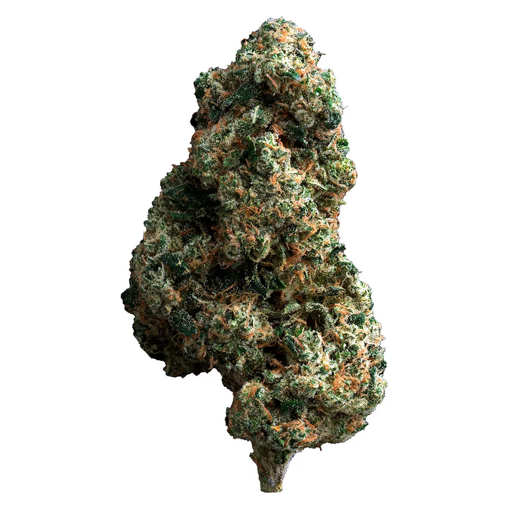 The Loud Plug Cherry Diesel - Hybrid - 7g — Flower