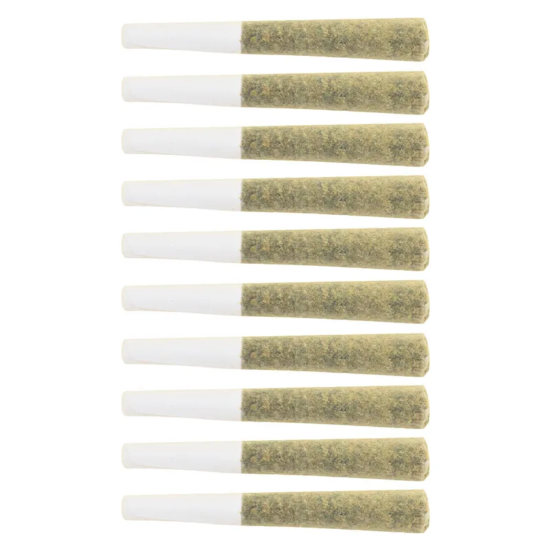 The Loud Plug Lemon Gelato Pre-Roll - Hybrid - 10x0.5g — Pre-Rolls