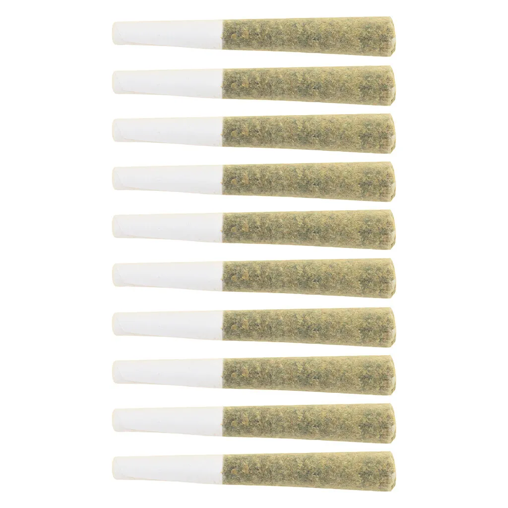 The Loud Plug Lemon Gelato Pre-Roll - Hybrid - 10x0.5g — Pre-Rolls