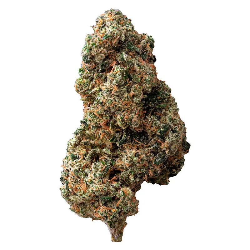 The Loud Plug Sticky Bunz - Hybrid - 7g — Flower