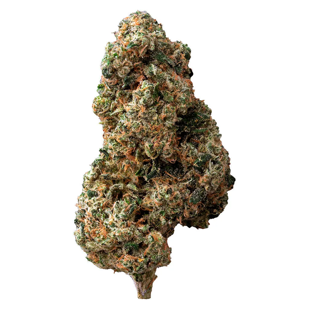 The Loud Plug Sticky Bunz - Hybrid - 7g — Flower