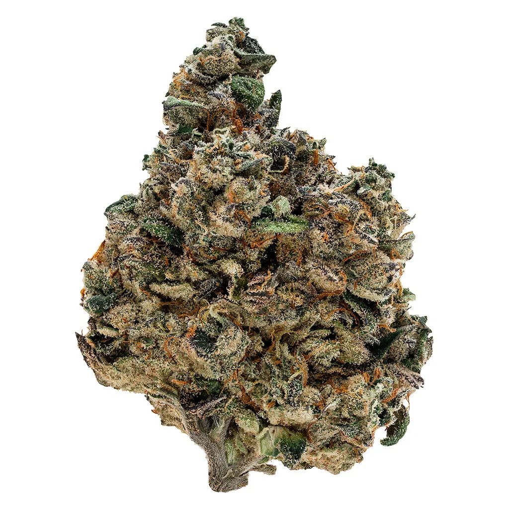 Tribal Gran Turismo - Indica - 3.5g — Flower