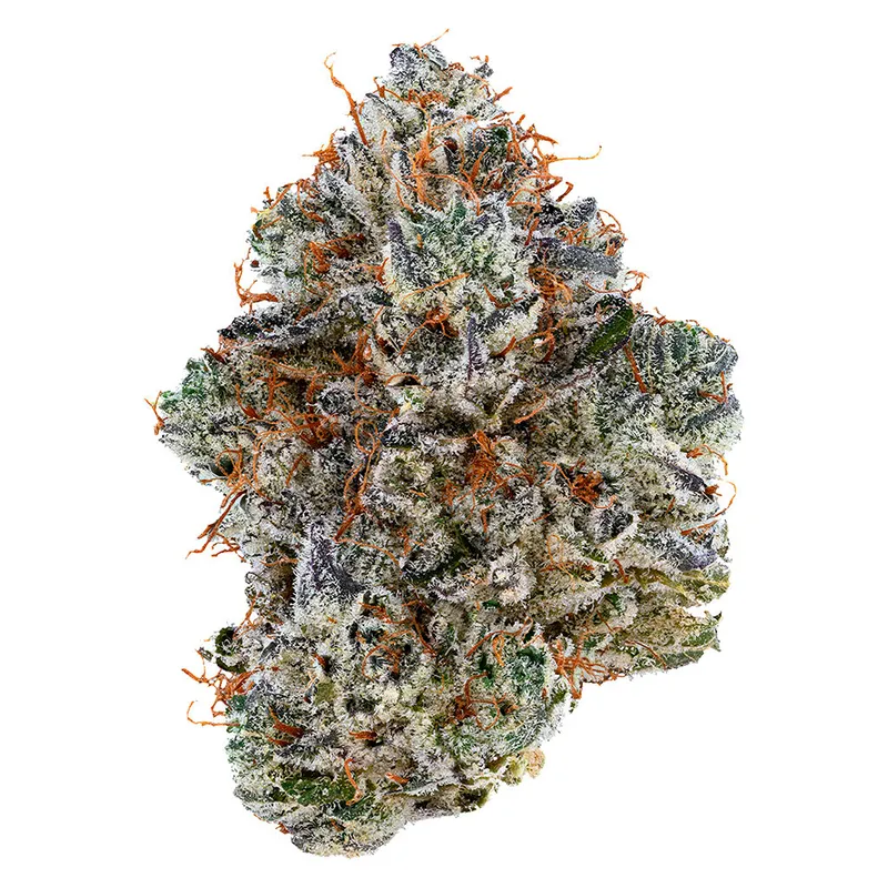 Tribal Neon Sunshine - Hybrid - 3.5g — Flower