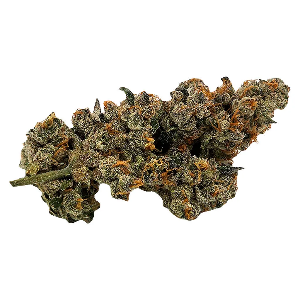 Truro Bluenose Berry - Indica - 7g — Flower